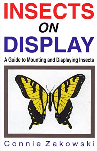 Insects on Display