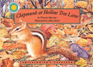 Chipmunk at Hollow Tree Lane