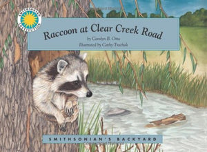 Raccoon at Clear Creek Road 