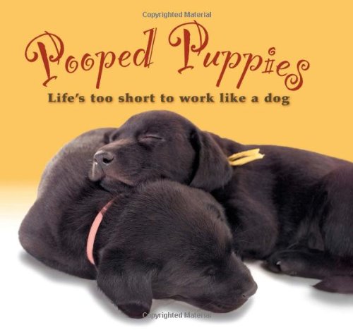 Pooped Puppies