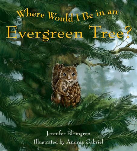 Where Would I Be In An Evergreen Tree?