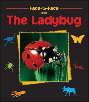 The Ladybug