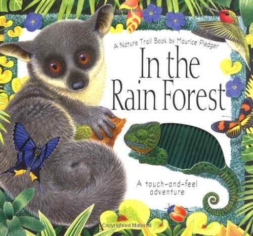 In the Rain Forest