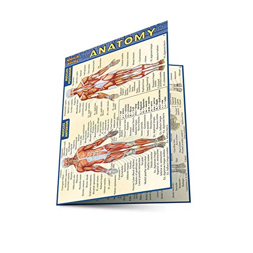 Anatomy - Pocket-Sized Reference Guide (4 x 6)