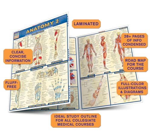 Anatomy 2 - Reference Guide