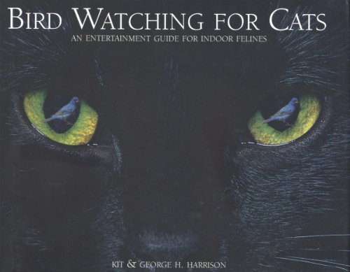 Bird Watching for Cats