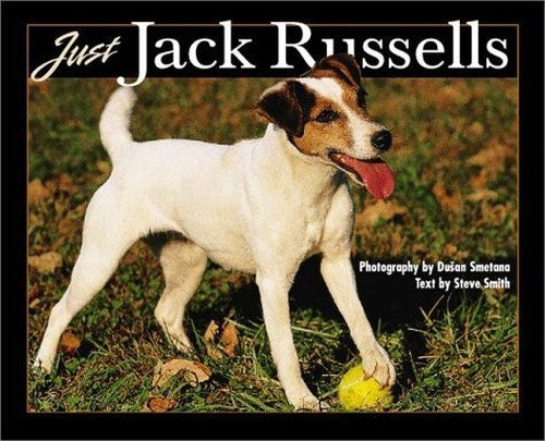 Just Jack Russells