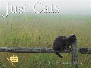 Just Cats 