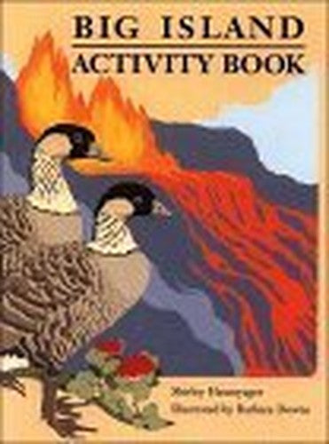 Big Island Activity Book