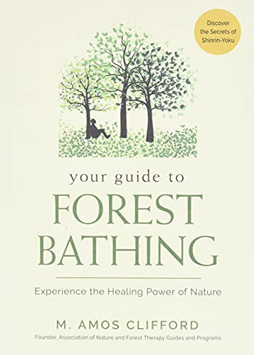 Your Guide to Forest Bathing