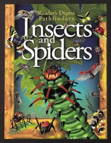 Pathfinders - Insects & Spiders