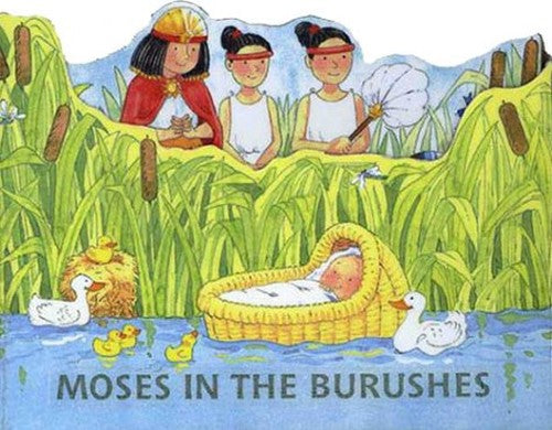 Noah and the Ark