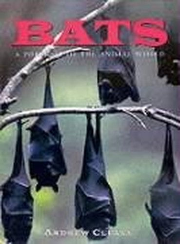 Bats