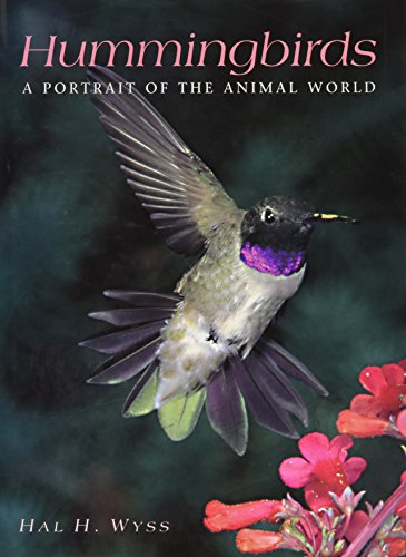 Hummingbirds