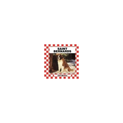 Saint Bernards