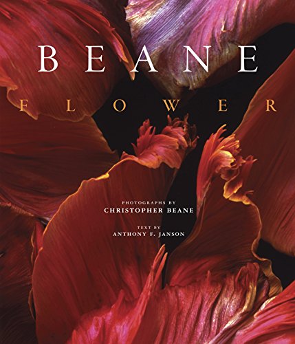 Flower: Christopher Beane