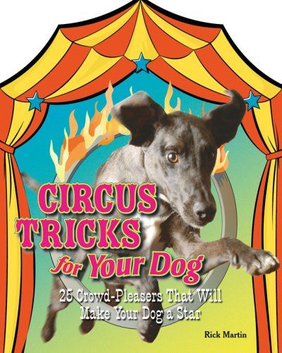 Circus Tricks for Your Dog