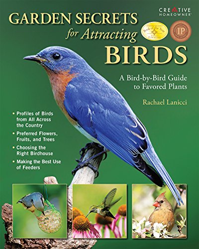 Garden Secrets for Attracting Birds