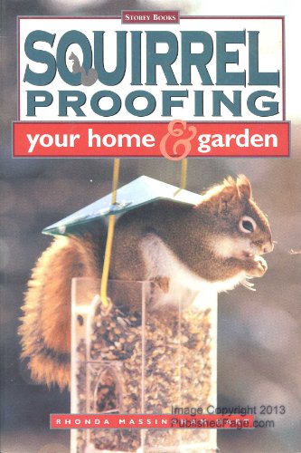 Squirrel Proofing Your Home and Garden