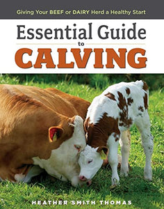 Essential Guide to Calving 