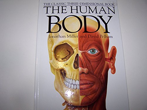 Human Body