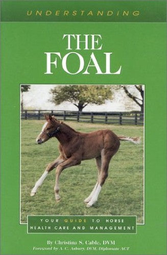 Understanding the Foal