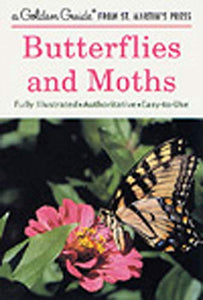 Butterflies and Moths 