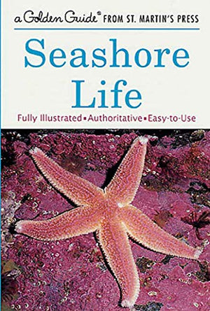 Seshore Life