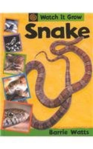 Snake