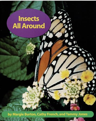 Insects All Around