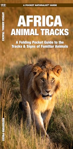 African Animal Tracks