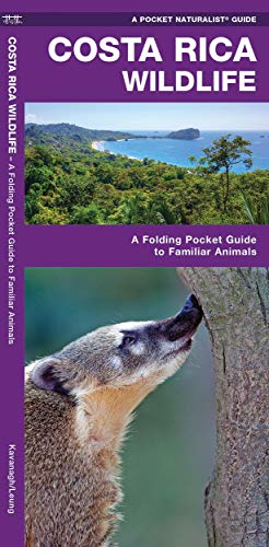 Costa Rica Wildlife