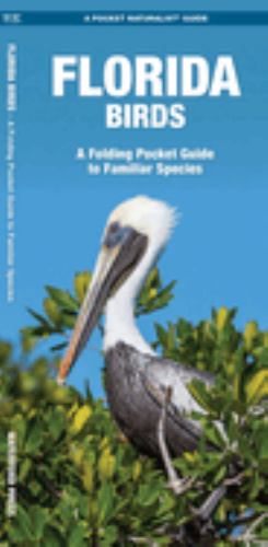 Florida Birds