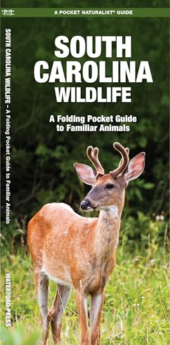 South Carolina Wildlife