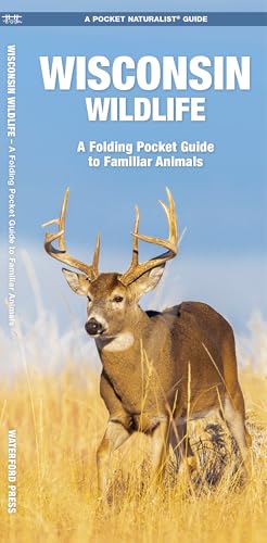 Wisconsin Wildlife