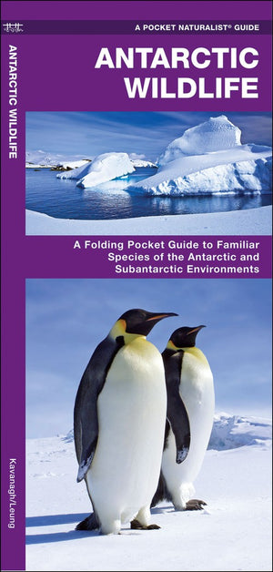 Antarctic Wildlife