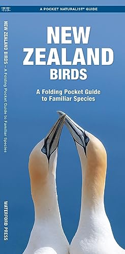 New Zealand Birds