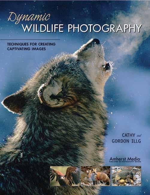 Dynamic Wildlife Photography