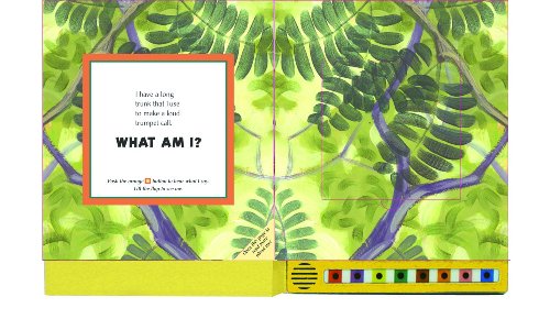 Hear and There Book: Safari Sounds