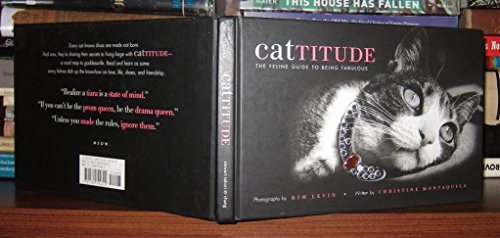 Cattitude