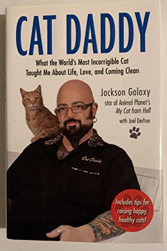 Cat Daddy