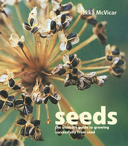 Seeds 