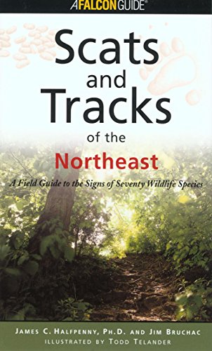 Scats and Tracks of the Northeast