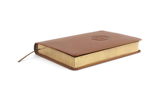 HCSB Men's Fraternity Authentic Manhood Bible, British Tan