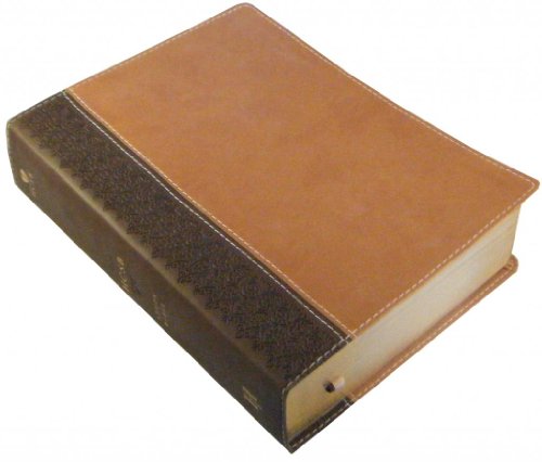 HCSB Study Bible, Brown/Tan Leathertouch