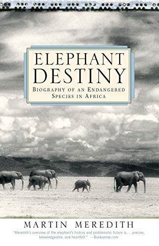 Elephant Destiny