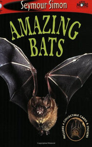 Amazing Bats 