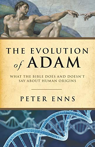 The Evolution of Adam