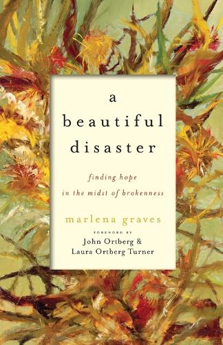 A Beautiful Disaster  Finding Hope in the Midst of Brokenness