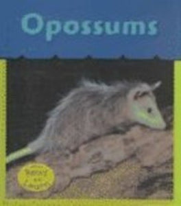 Opossums 